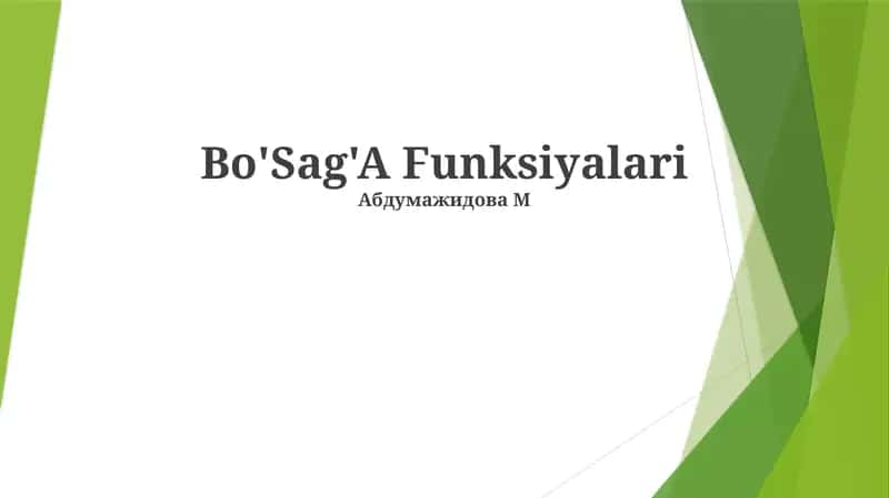 Bo'Sag'A Funksiyalari
