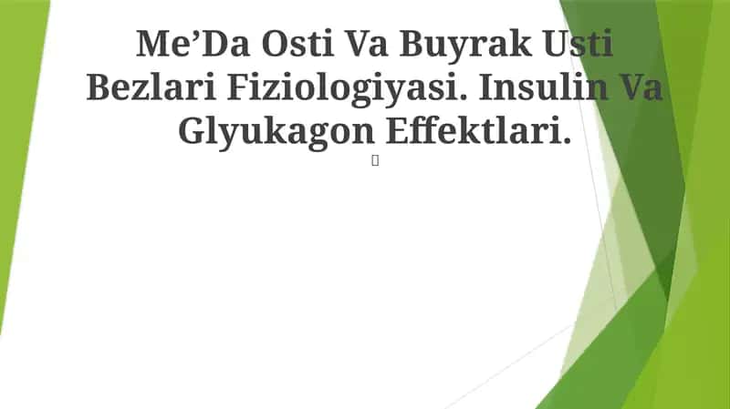 Me’Da Osti Va Buyrak Usti Bezlari Fiziologiyasi