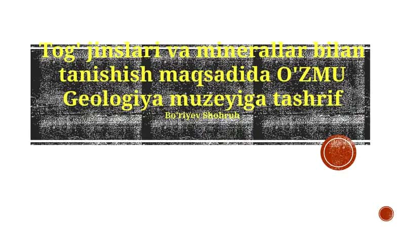 NUU Geologiya Muzeyi