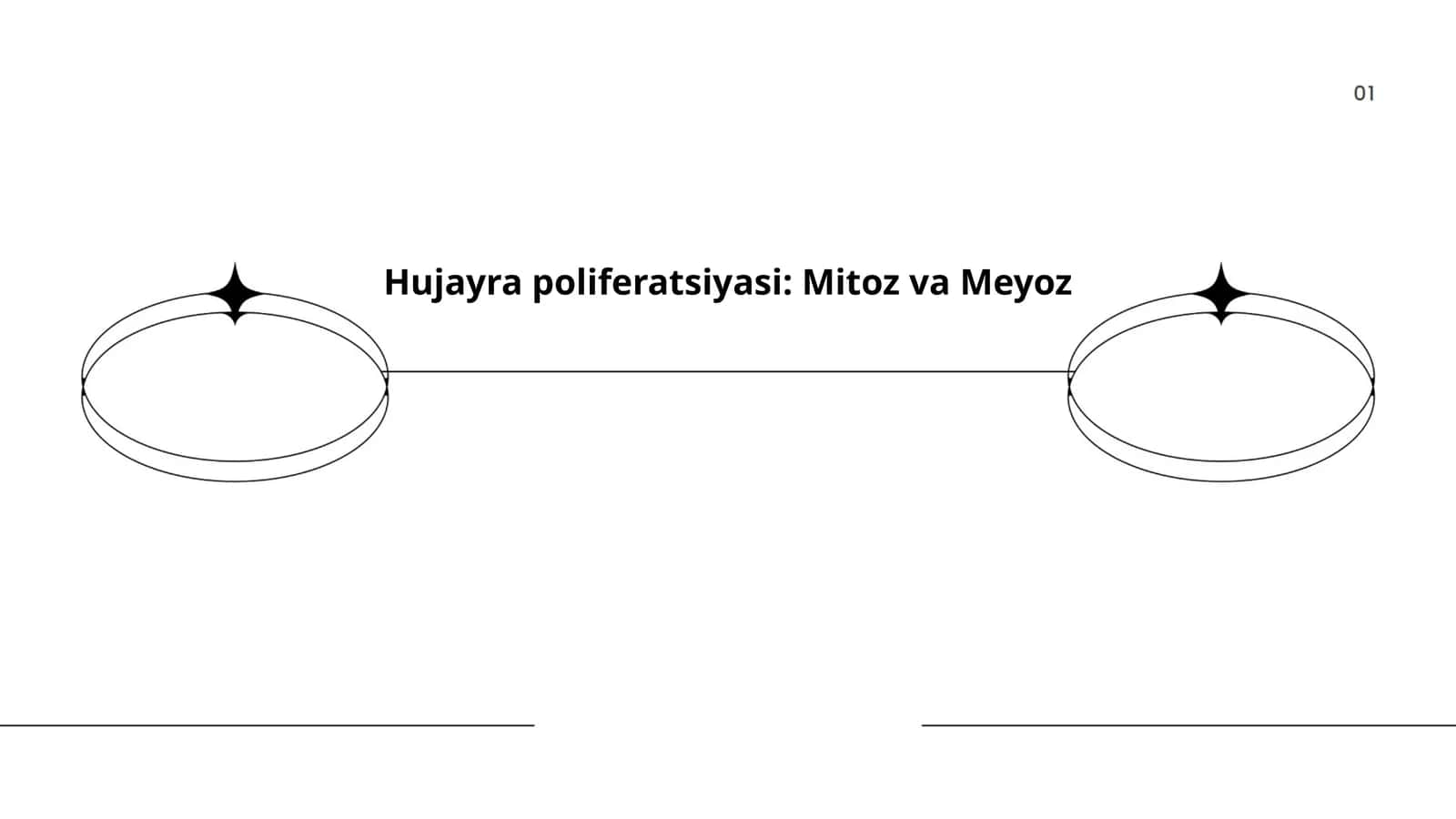 Hujayra poliferatsiyasi: Mitoz va Meyoz