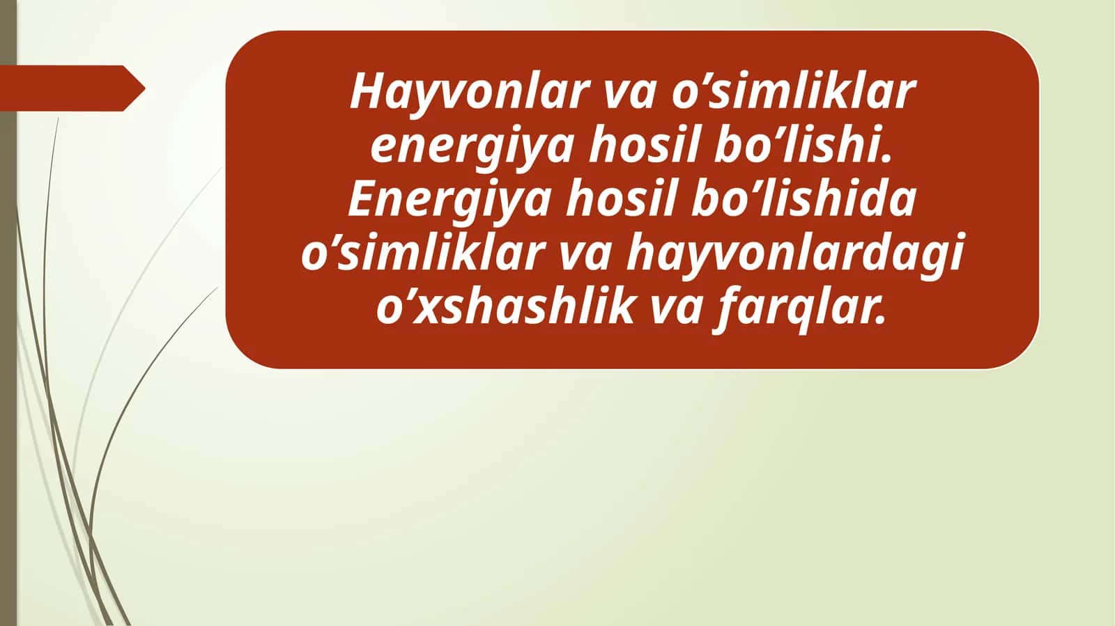 Hayvonlar va o'simliklarda energiya hosil bo'lishi