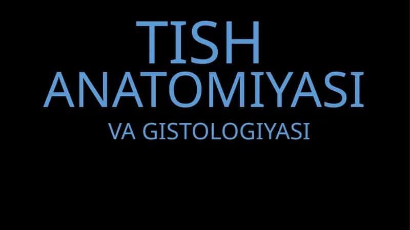 TISH ANATOMIYASI VA GISTOLOGIYASI