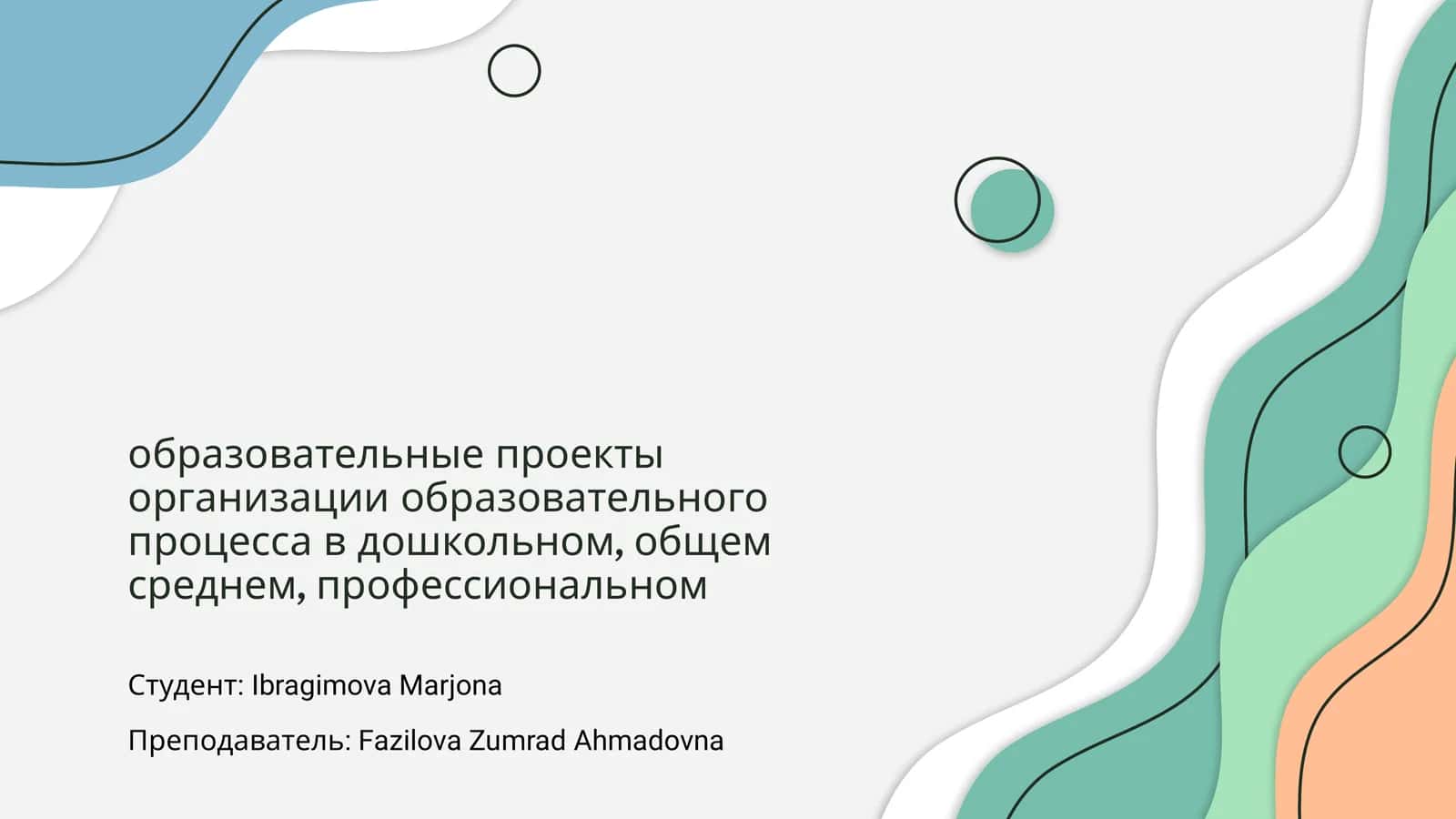 Образовательные проекты организации образовательного процесса