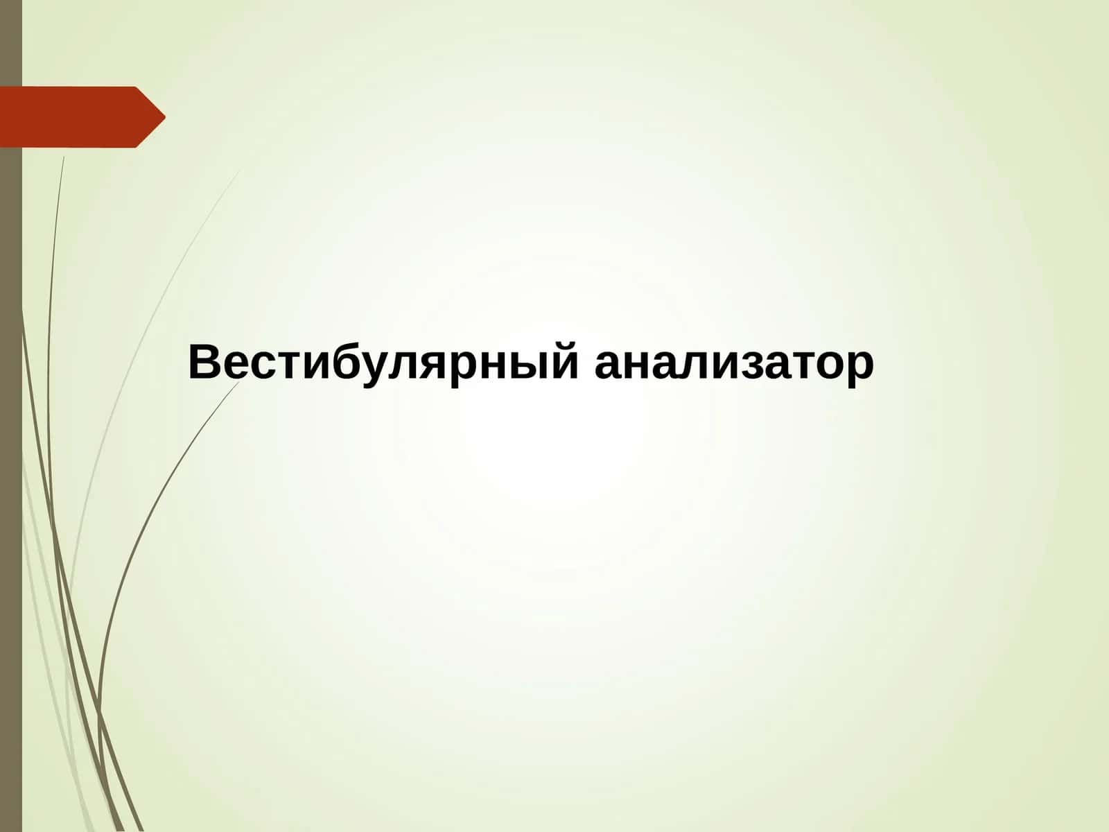 Вестибулярный анализатор