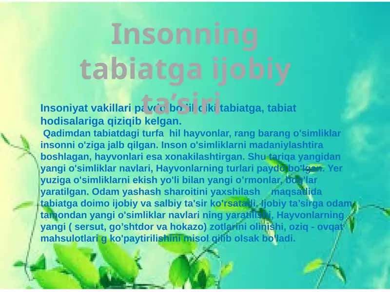 O'simliklar va hayvonlar