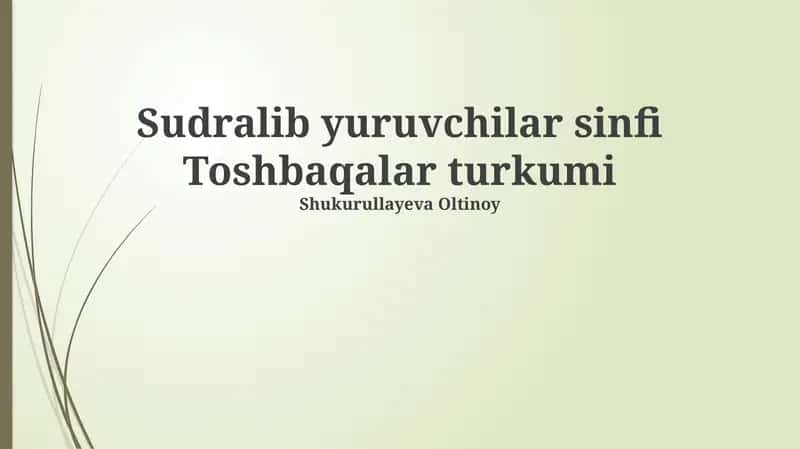 Toshbaqalar turkumi