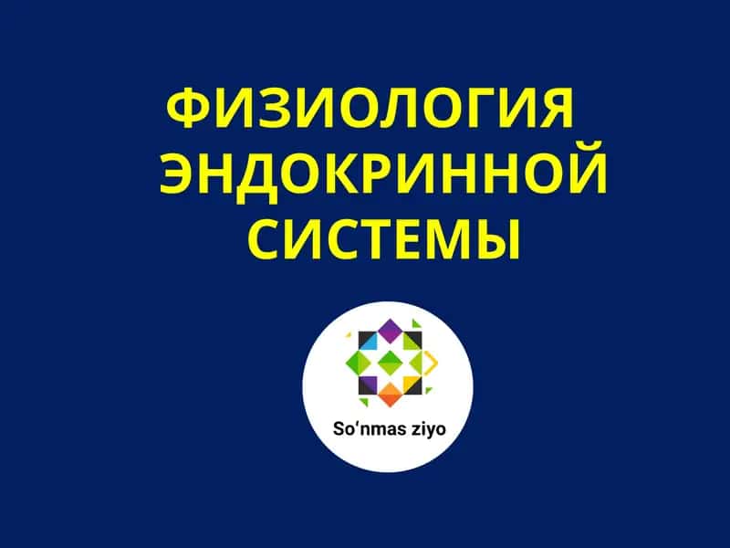 ФИЗИОЛОГИЯ ЭНДОКРИННОЙ СИСТЕМЫ