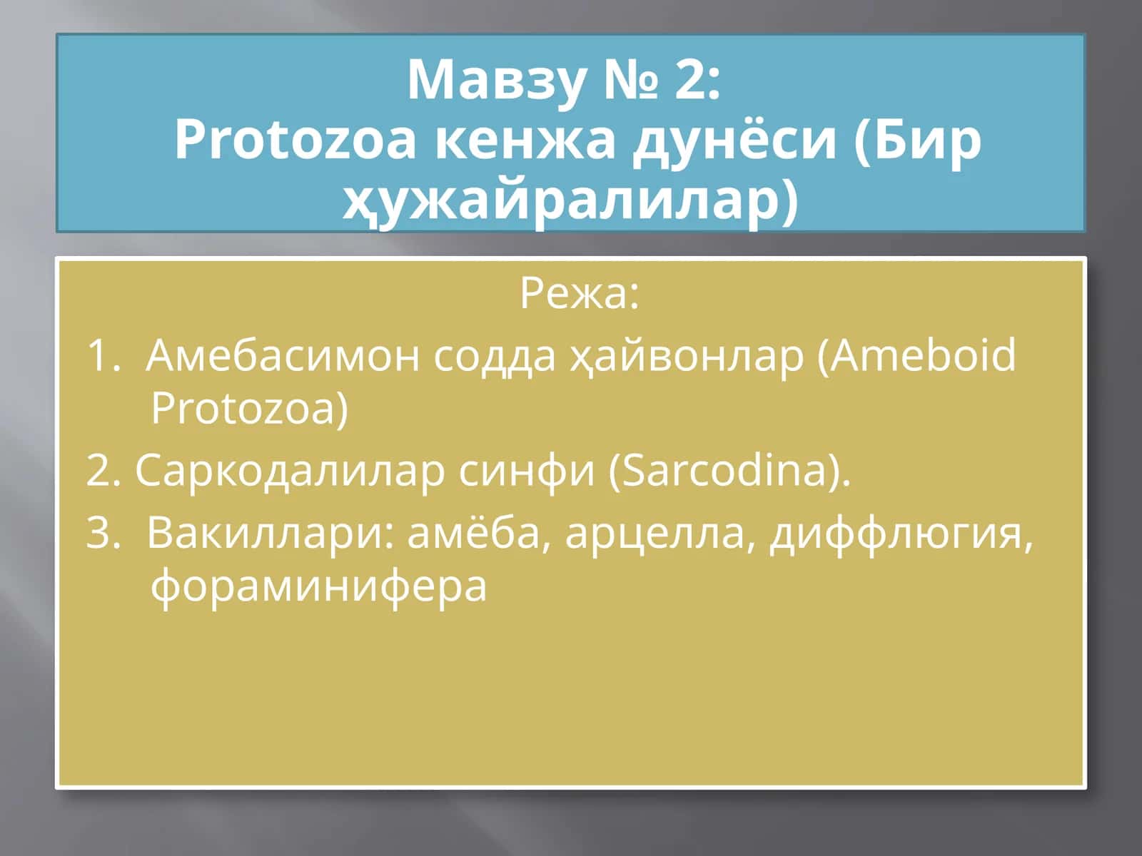 Protozoa кенжа дунёси (Бир ҳужайралилар)
