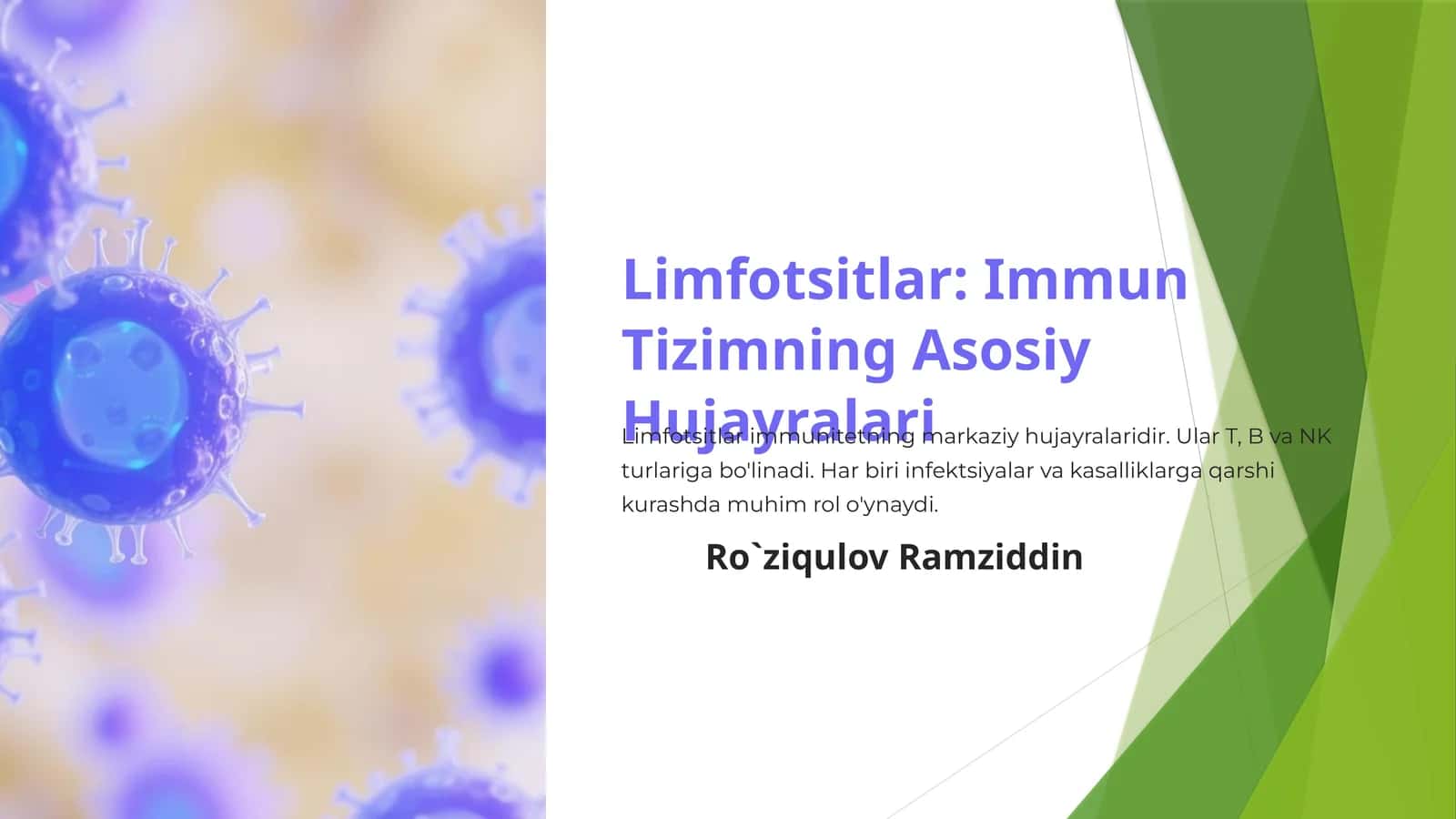 Limfotsitlar: Immun Tizimning Asosiy Hujayralari