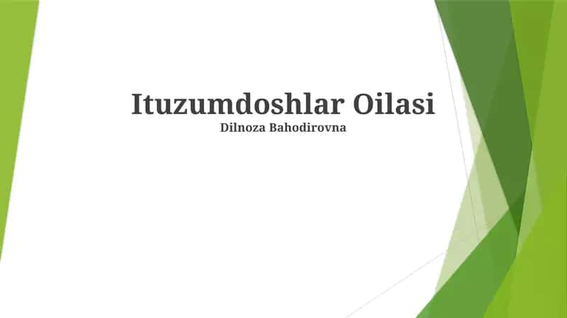 Ituzumdoshlar Oilasi