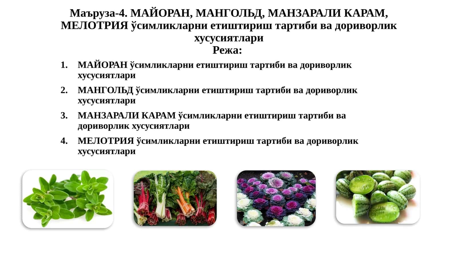 МАЙОРАН,МАНГОЛЬД,МАНЗАРАЛИКАРАМ,МЕЛОТРИЯўсимликларниетиштириш тартиби ва дориворлик хусусиятлари
