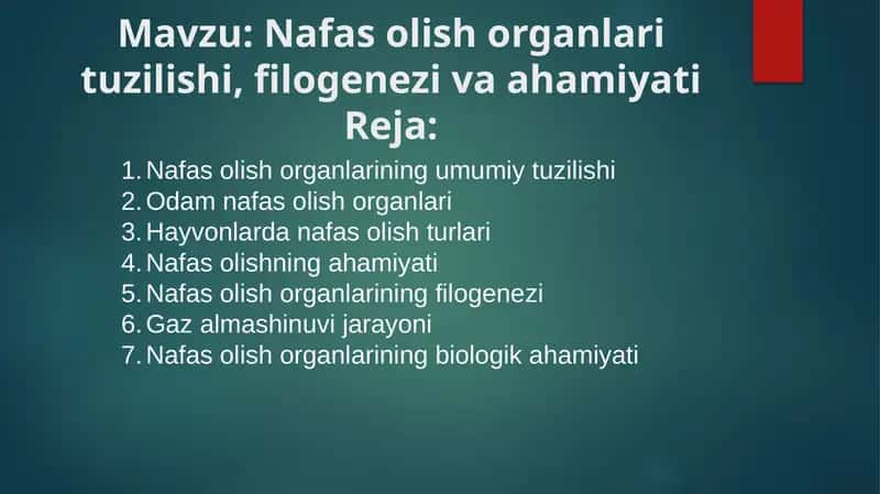 Nafas olish organlari tuzilishi, filogenezi va ahamiyati