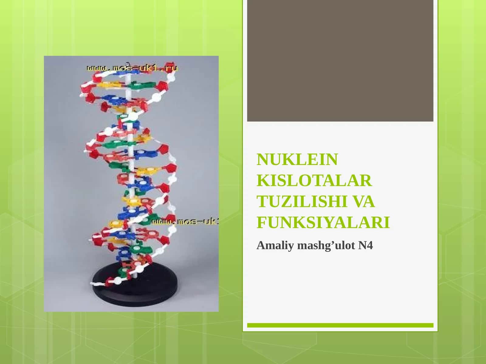 9-sinf Biologiya fanidan dars ishlanma. Nuklein kislotalar