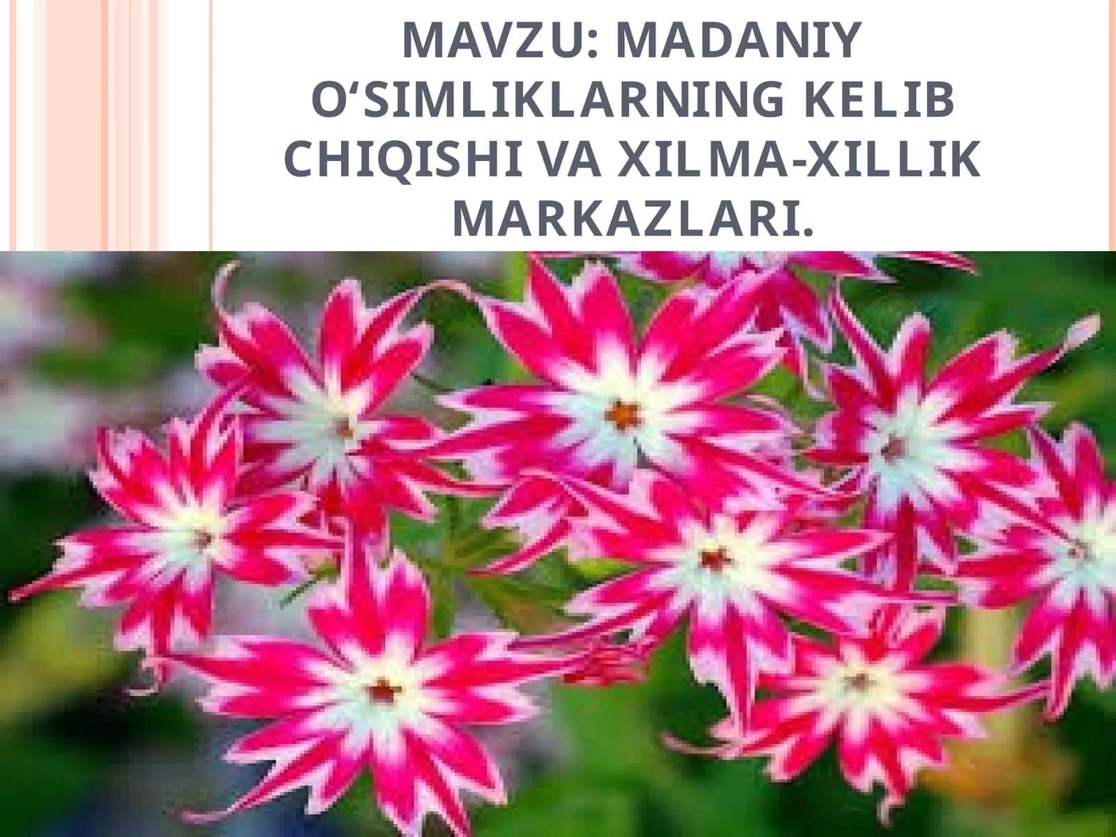 Madaniy o‘simliklarning kelib chiqishi va xilma-xillik markazlari