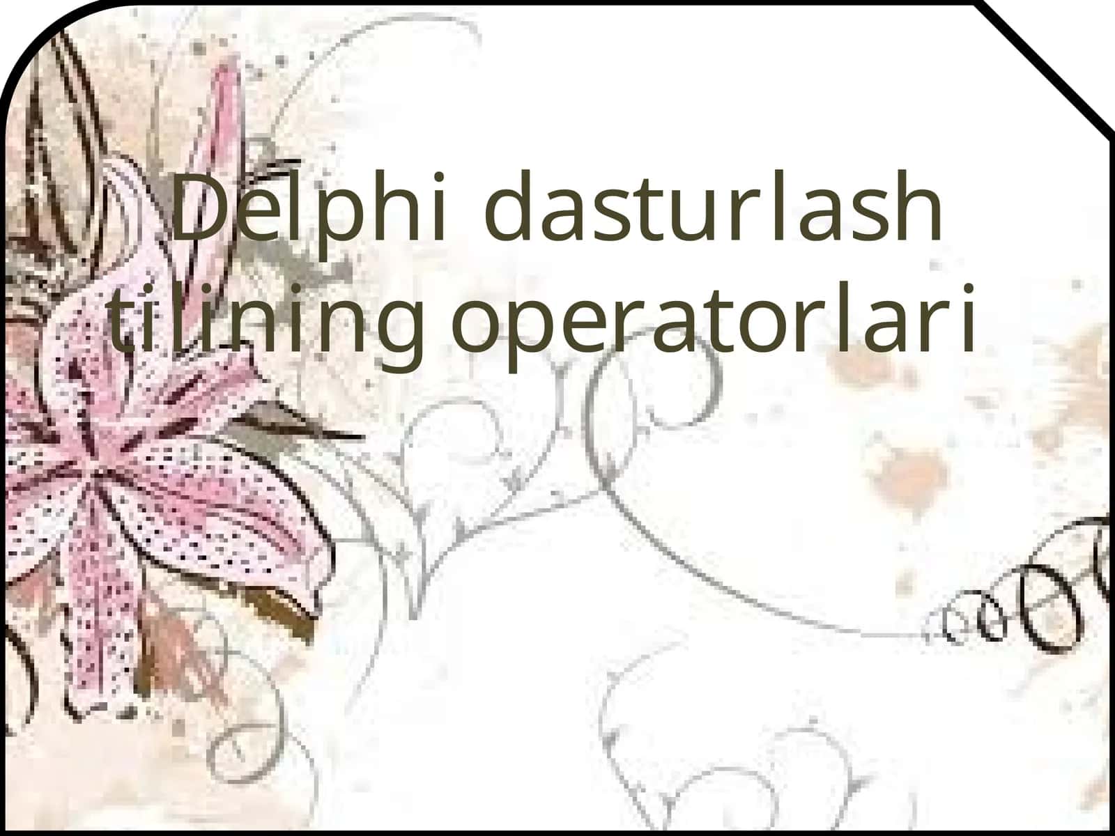 Delphi  dasturlash  tilining  operatorlari