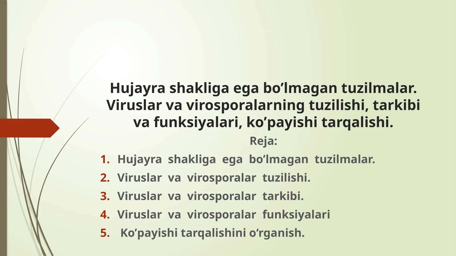 Viruslar va virosporalar tuzilishi