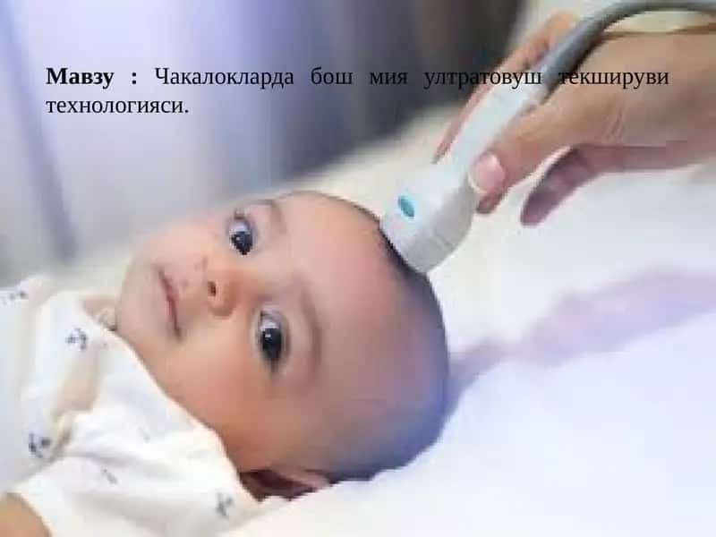 Чакалокларда бош мия ултратовуш текшируви технологияси
