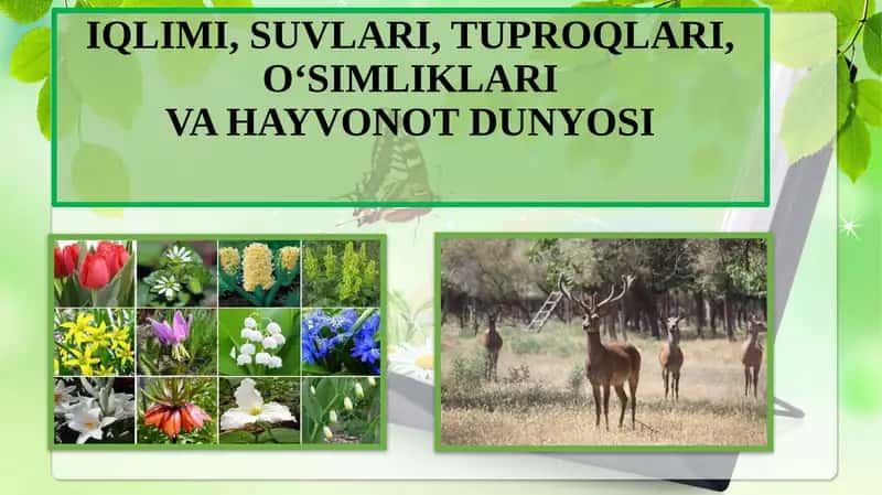 IQLIMI, SUVLARI, TUPROQLARI, O‘SIMLIKLARIVA HAYVONOT DUNYOSI