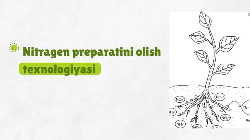 Nitragen preparatini olish texnologiyasi