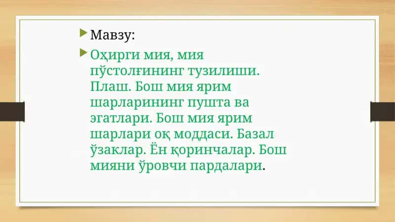 Оҳирги мия, мия пўстолғининг тузилиши. Плаш. Бош мия ярим шарларининг пушта ва эгатлари. Бош мия ярим шарлари оқ моддаси. Базал ўзаклар. Ён қоринчалар. Бош мияни ўровчи пардалари