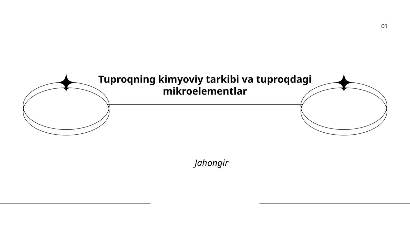 Tuproqning mineral tarkibi va tuproqdagi mikroelementlar