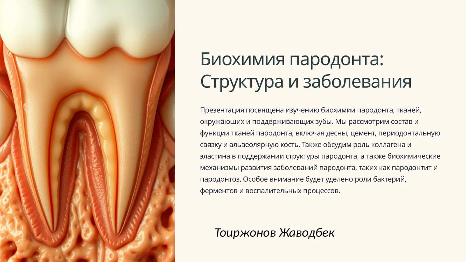 Биохимия пародонта: Структура и заболевания