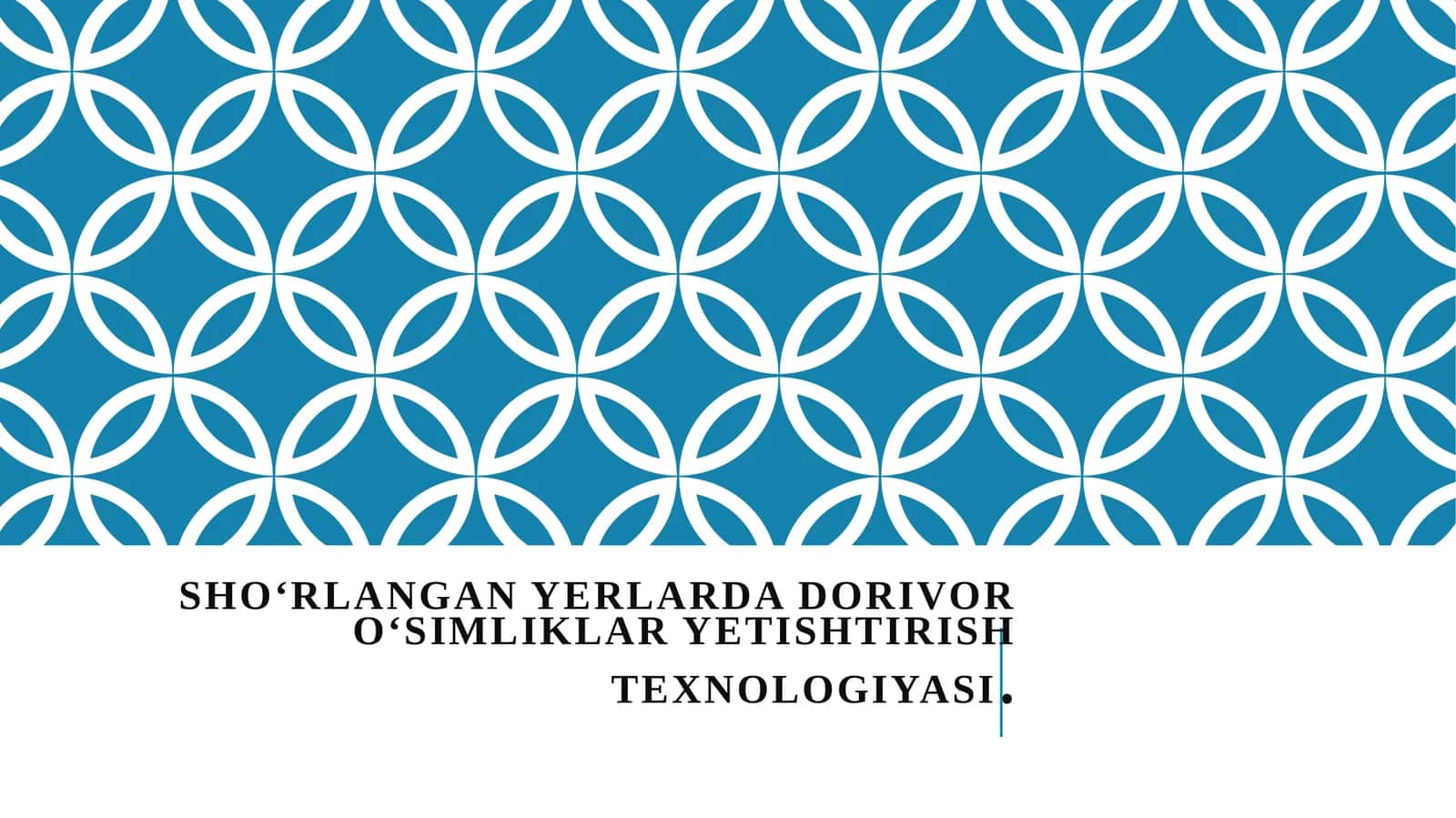 Sho'rlangan yerlarda dorivor o'simliklar yetishtirish texnalogiyasi