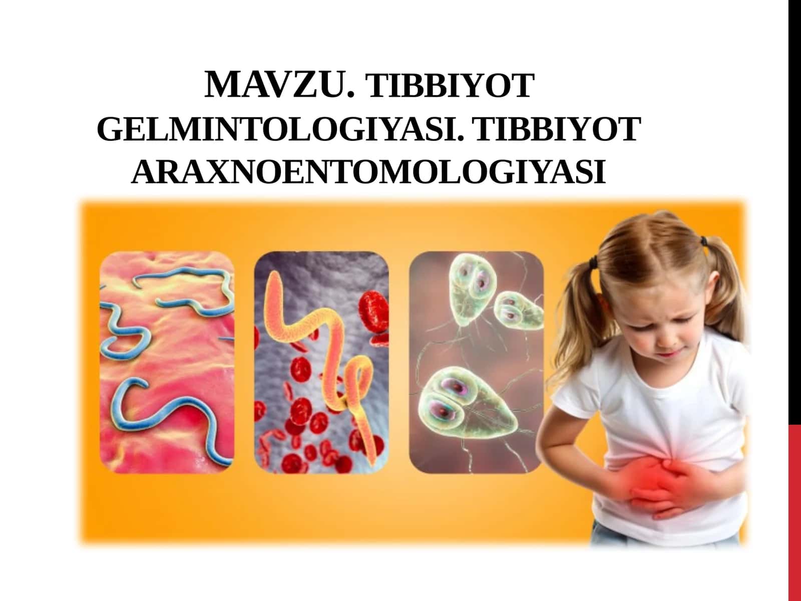 TIBBIYOT GELMINTOLOGIYASI. TIBBIYOT ARAXNOENTOMOLOGIYASI