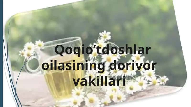 Qoqio’tdoshlar oilasining dorivor vakillari