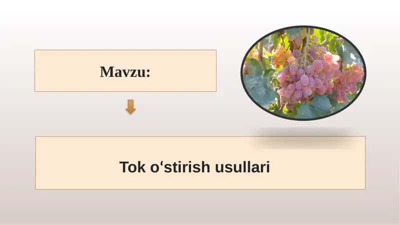 Tok oʻstirish usullari