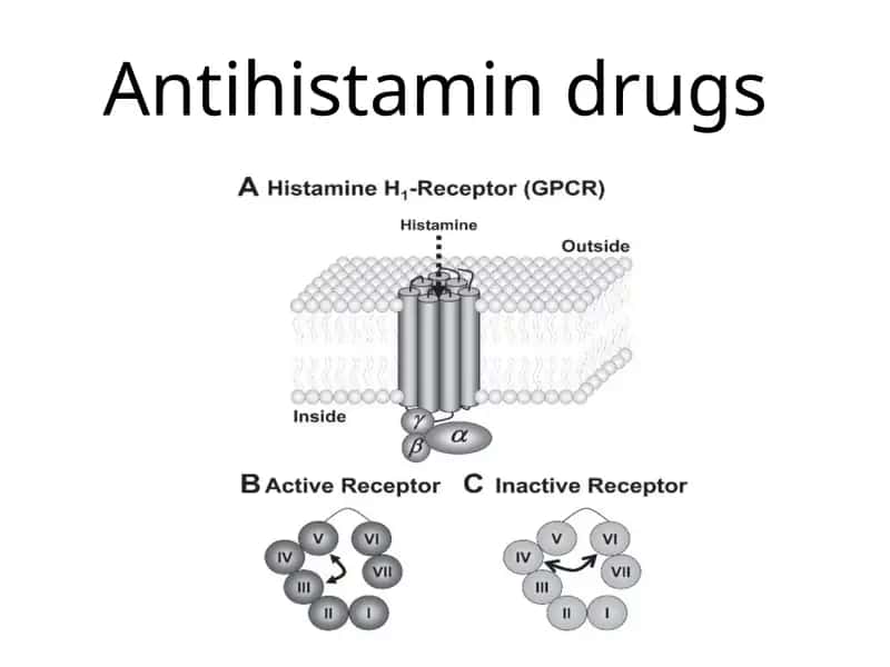 Antigistamin Dori vositalari farmakologiyasi