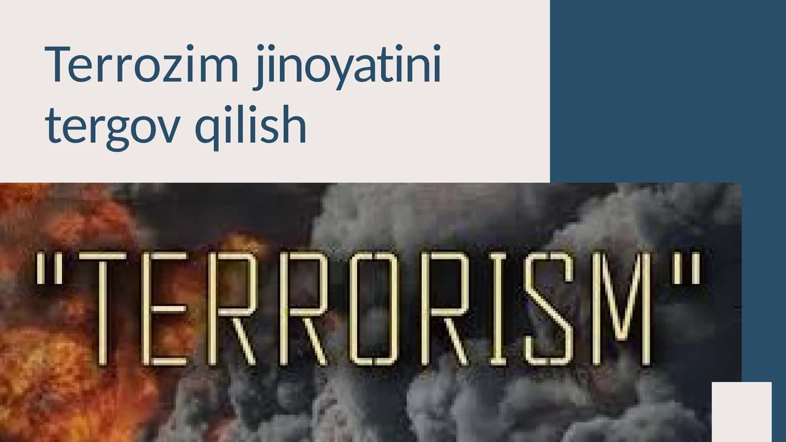 Terrozim jinoyatini tergov qilish