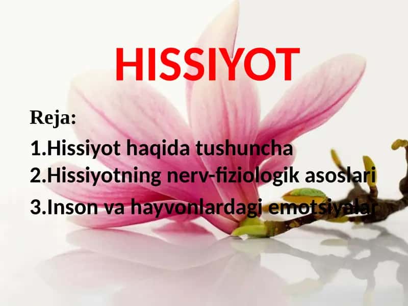 HISSIYOT