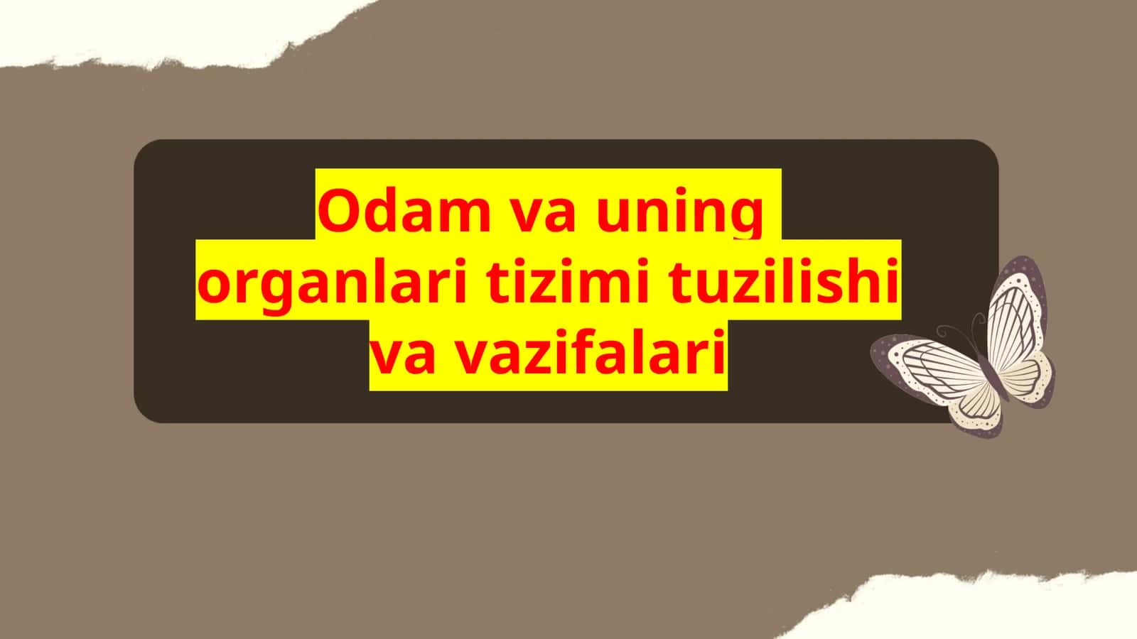 Odam va uning organlari tizimi tuzilishi va vazifalari