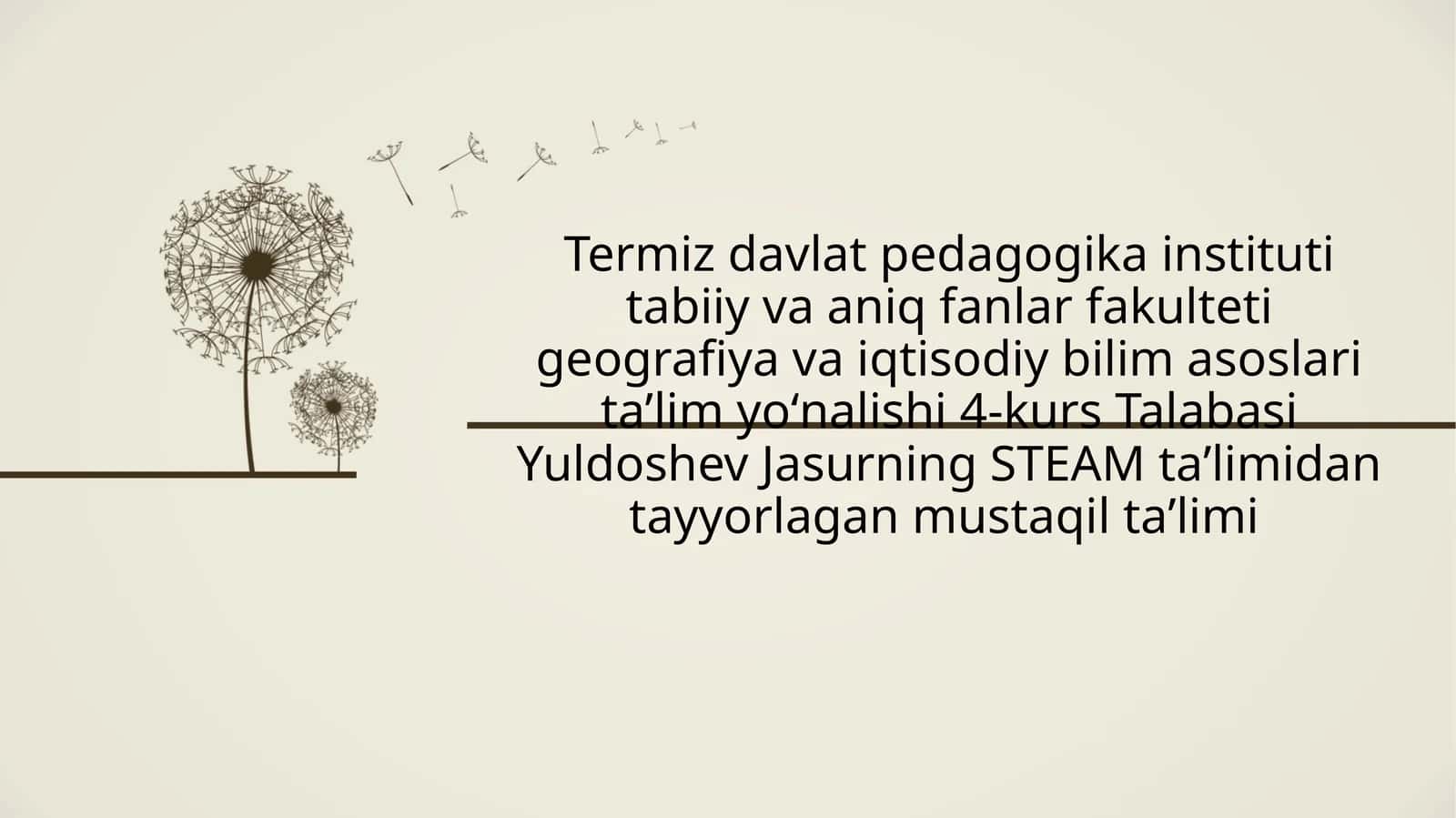 STEAM texnologiyasi