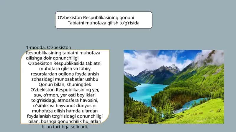 Oʻzbekiston Respublikasining qonuni Tabiatni muhofaza qilish toʻgʻrisida