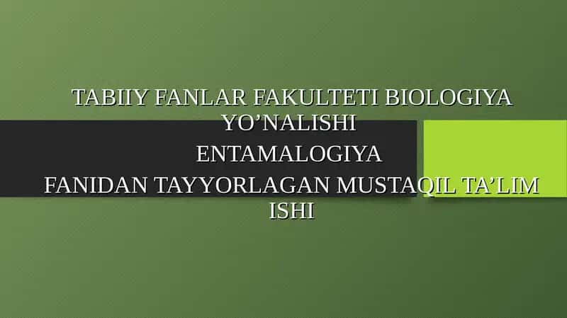 Entamologiya Fanidan Tayyorlangan Mustaqil Ta'lim Ishi