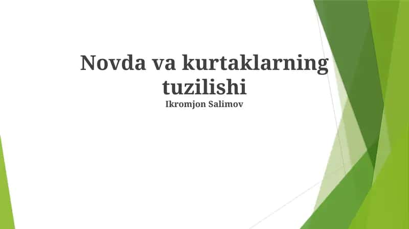 Novda va kurtaklarning tuzilishi