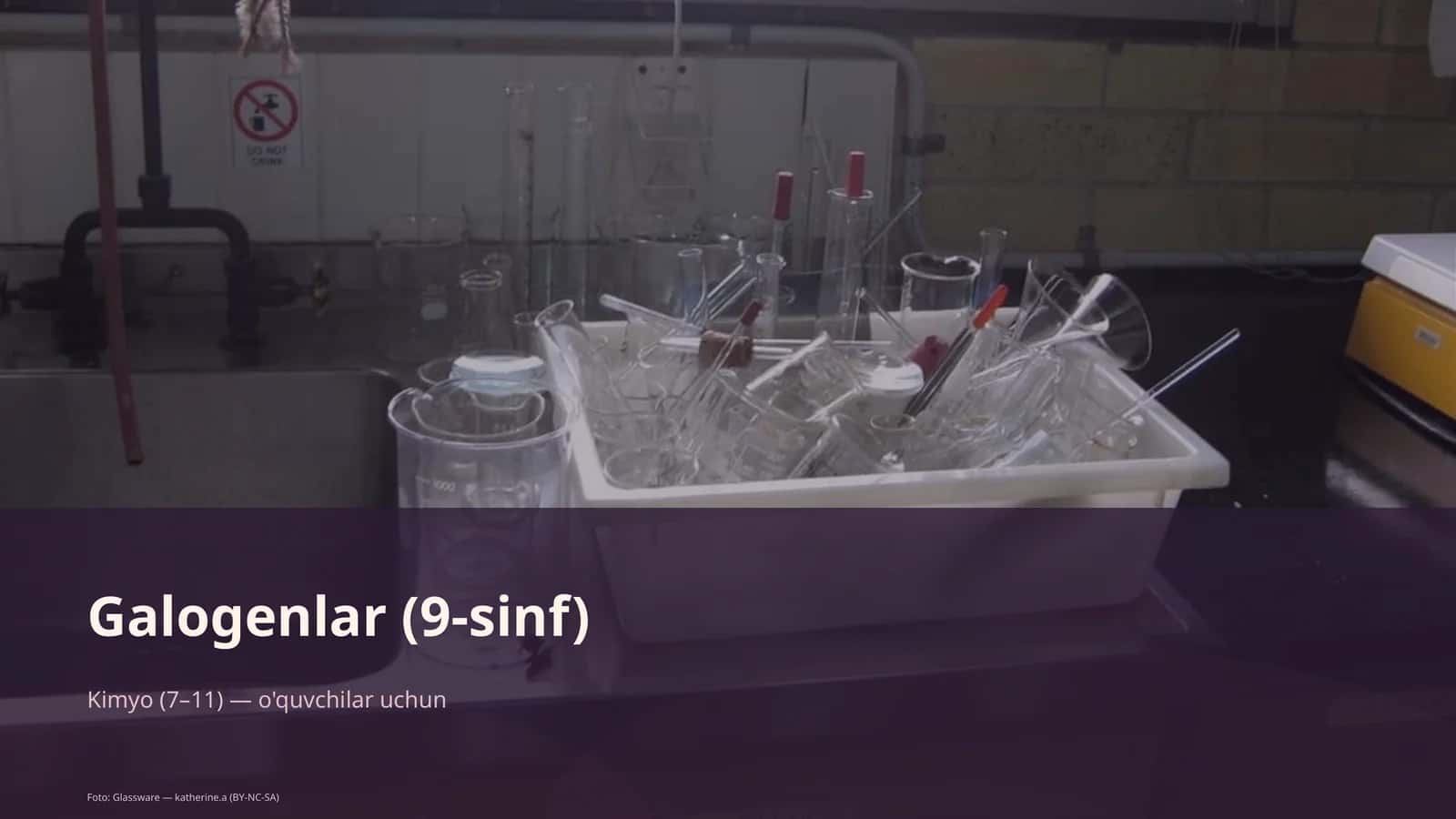 Galogenlar (9-sinf)