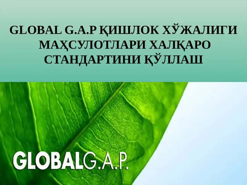 GLOBALG.A.P ҚИШЛОКХЎЖАЛИГИМАҲСУЛОТЛАРИХАЛҚАРО СТАНДАРТИНИ ҚЎЛЛАШ