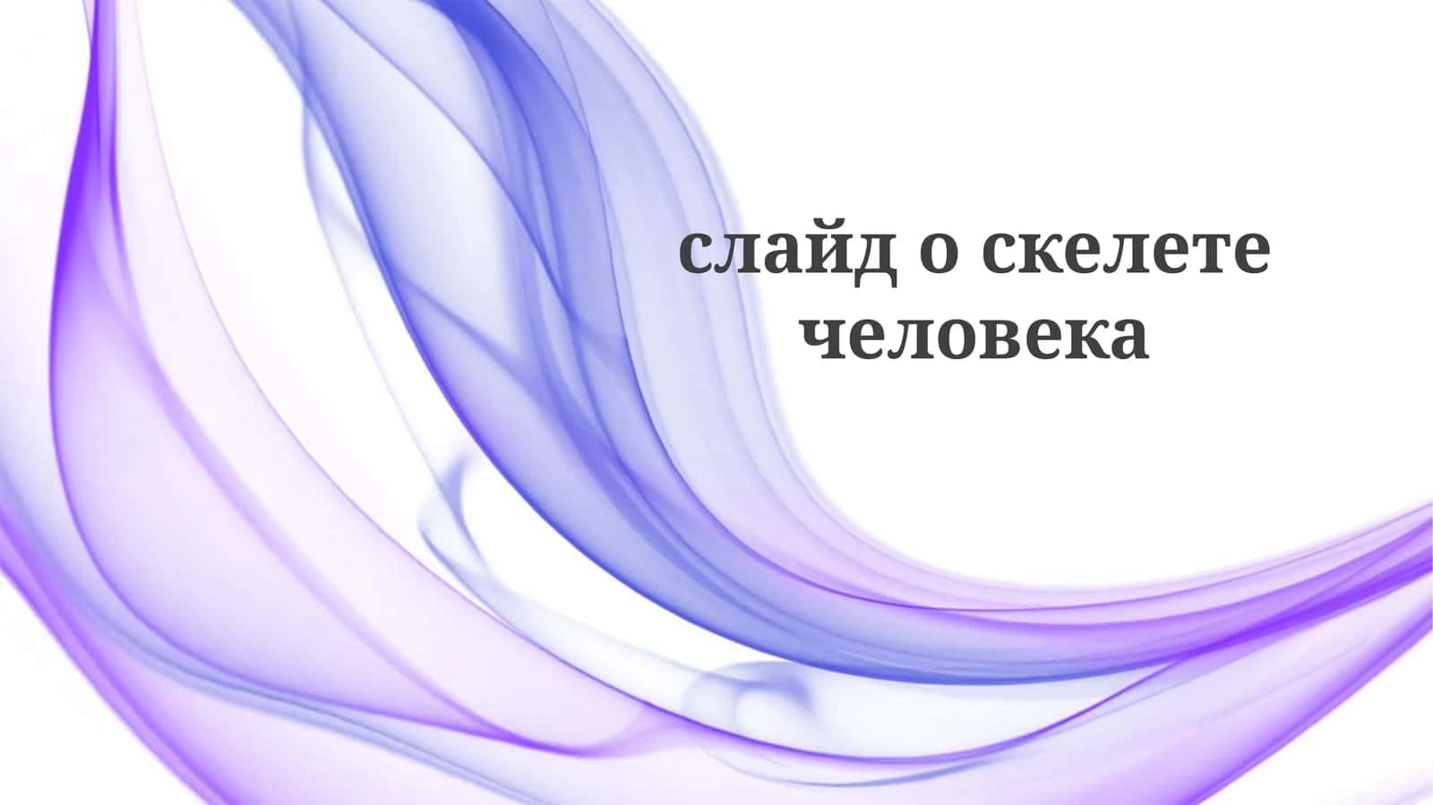слайдоскелетечеловека