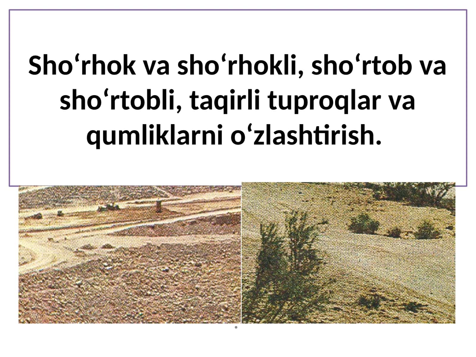 Sho‘rhsimon tuproqlarni o‘zlashtirish