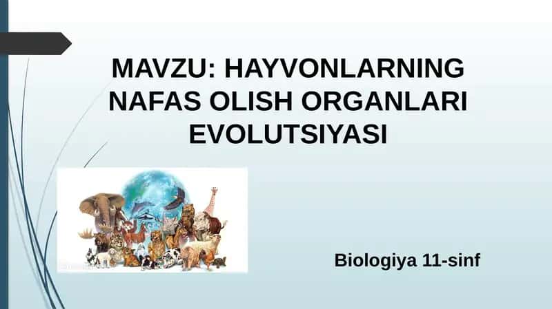 HAYVONLARNING NAFAS OLISH ORGANLARI EVOLUTSIYASI