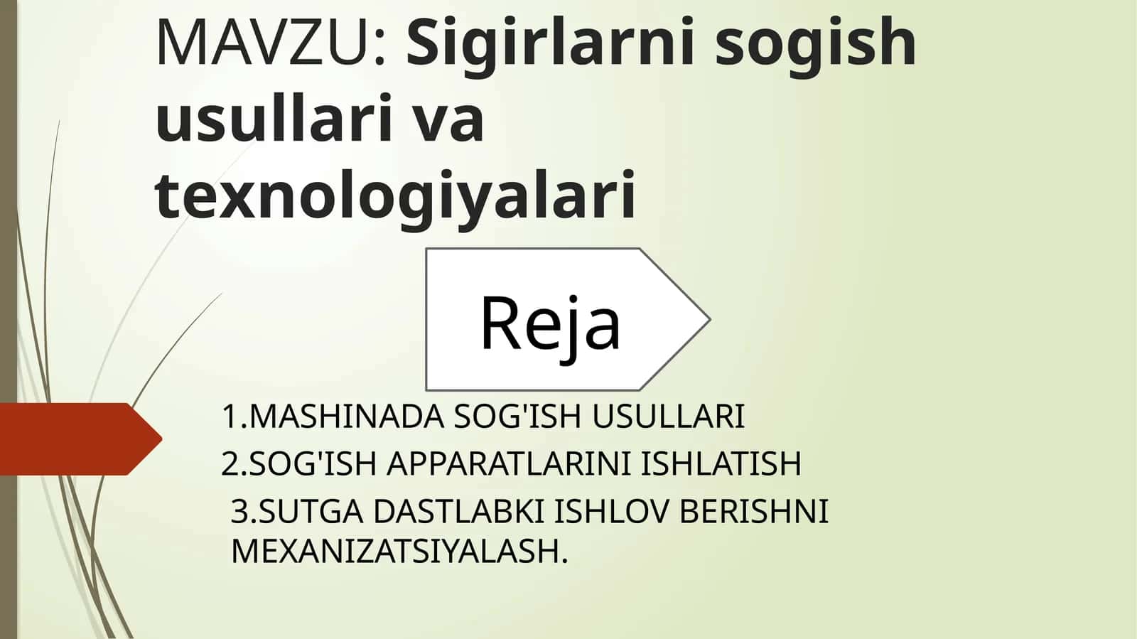 Sigirlarni sog'ish usullari va texnologiyalari
