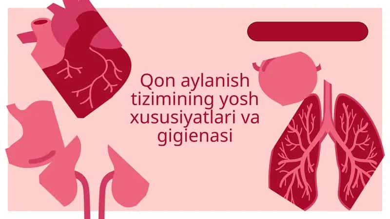 Qon aylanish tizimi