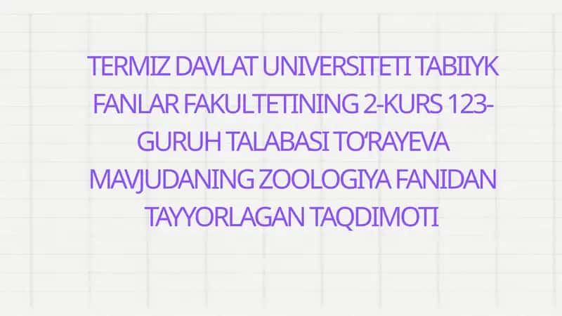 Toʻrayeva Mavjudaning Zoologiya Fanidan Tayyorlagan Taqdimoti