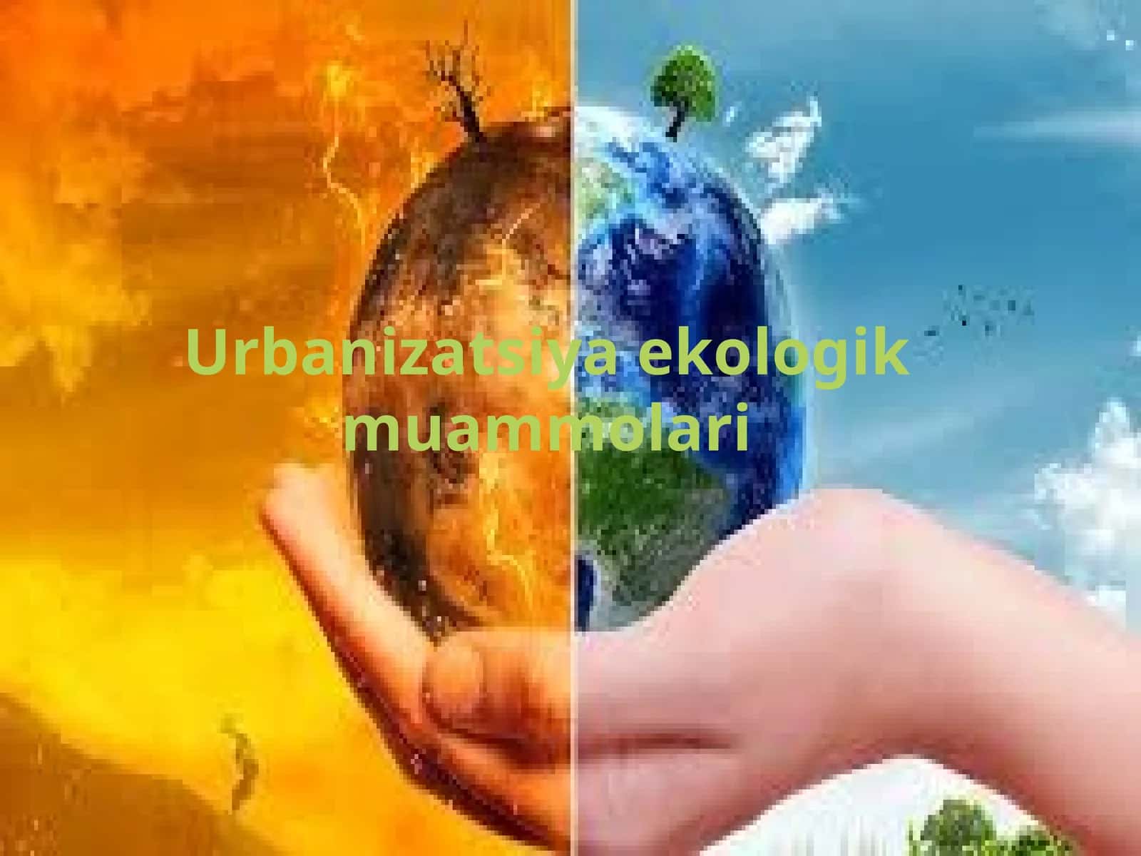 Urbanizatsiya ekologik muammolari