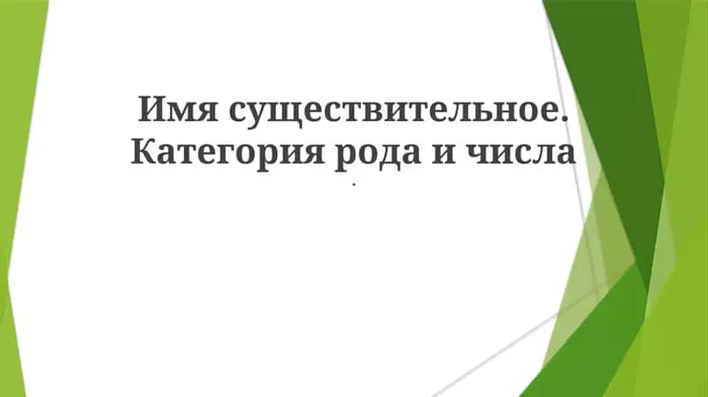 Имя существительное. Категория рода и числа