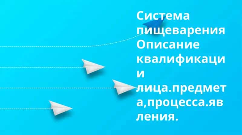 Система пищеварения: анатомия, физиология, заболевания, панкреатический сок
