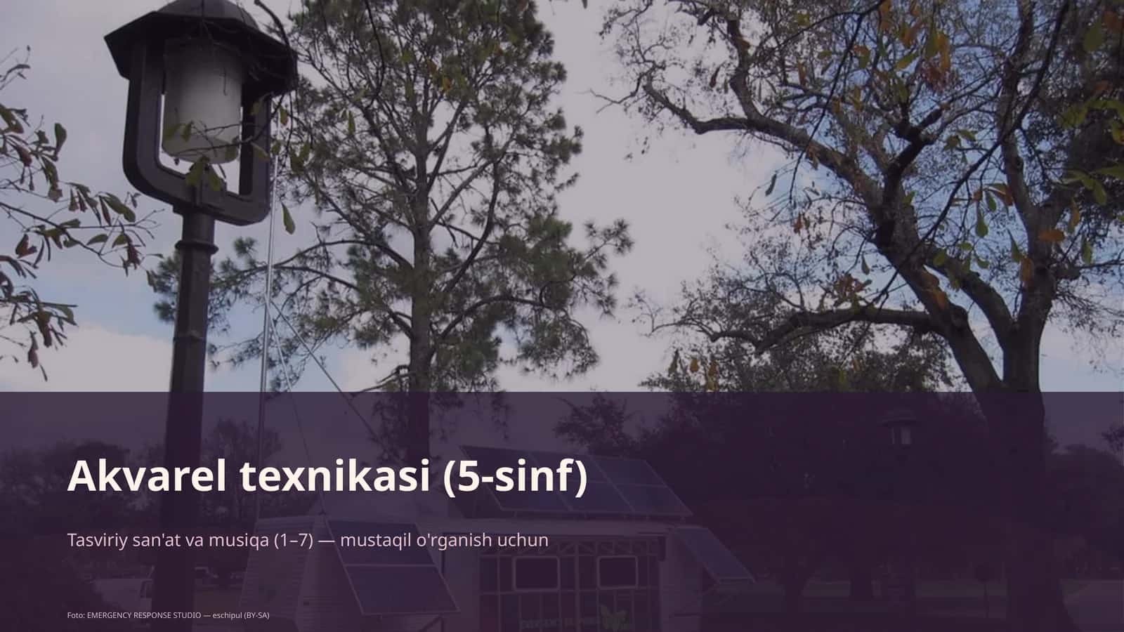 Akvarel texnikasi (5-sinf)